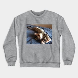 sleepy kitty Crewneck Sweatshirt